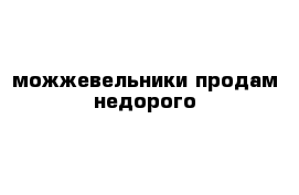 можжевельники продам недорого